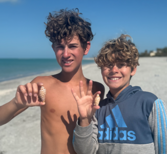 article image - SHELL FIND A1